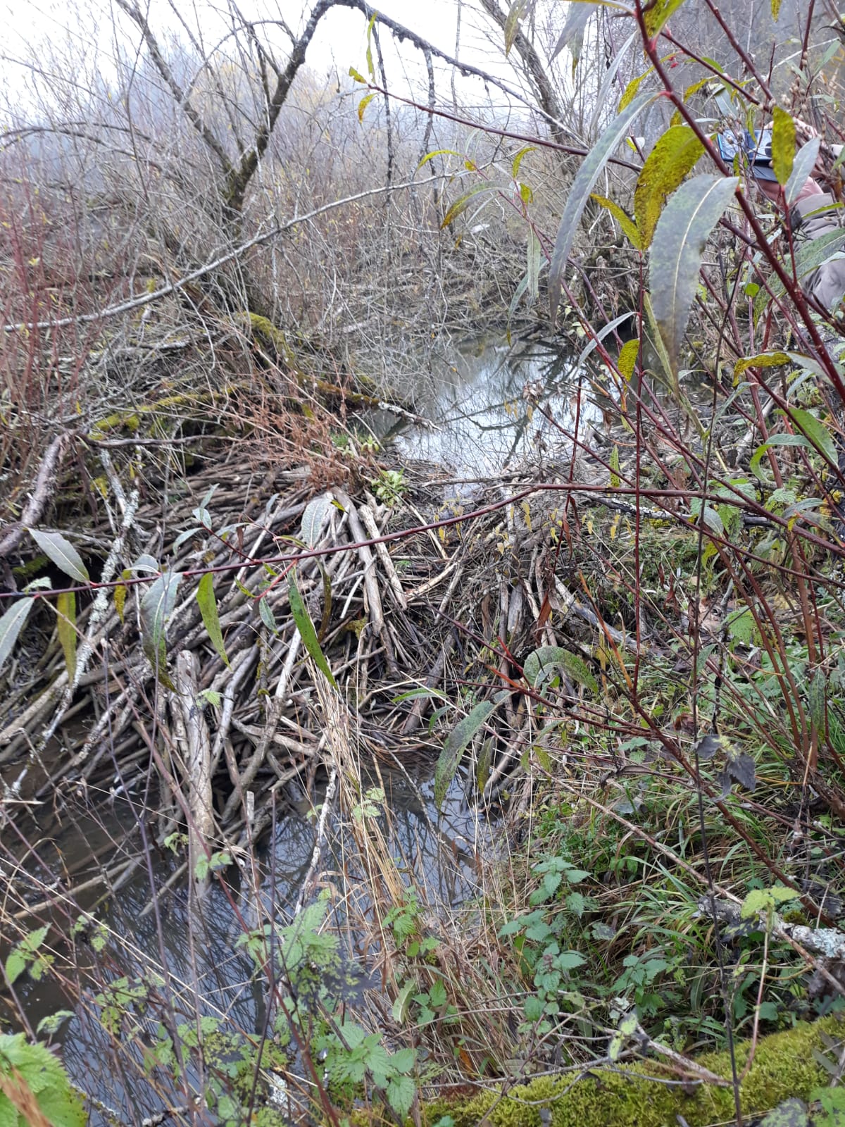 Galeriebild: WhatsApp Image 2022 06 05 at 16.58.34 (1)